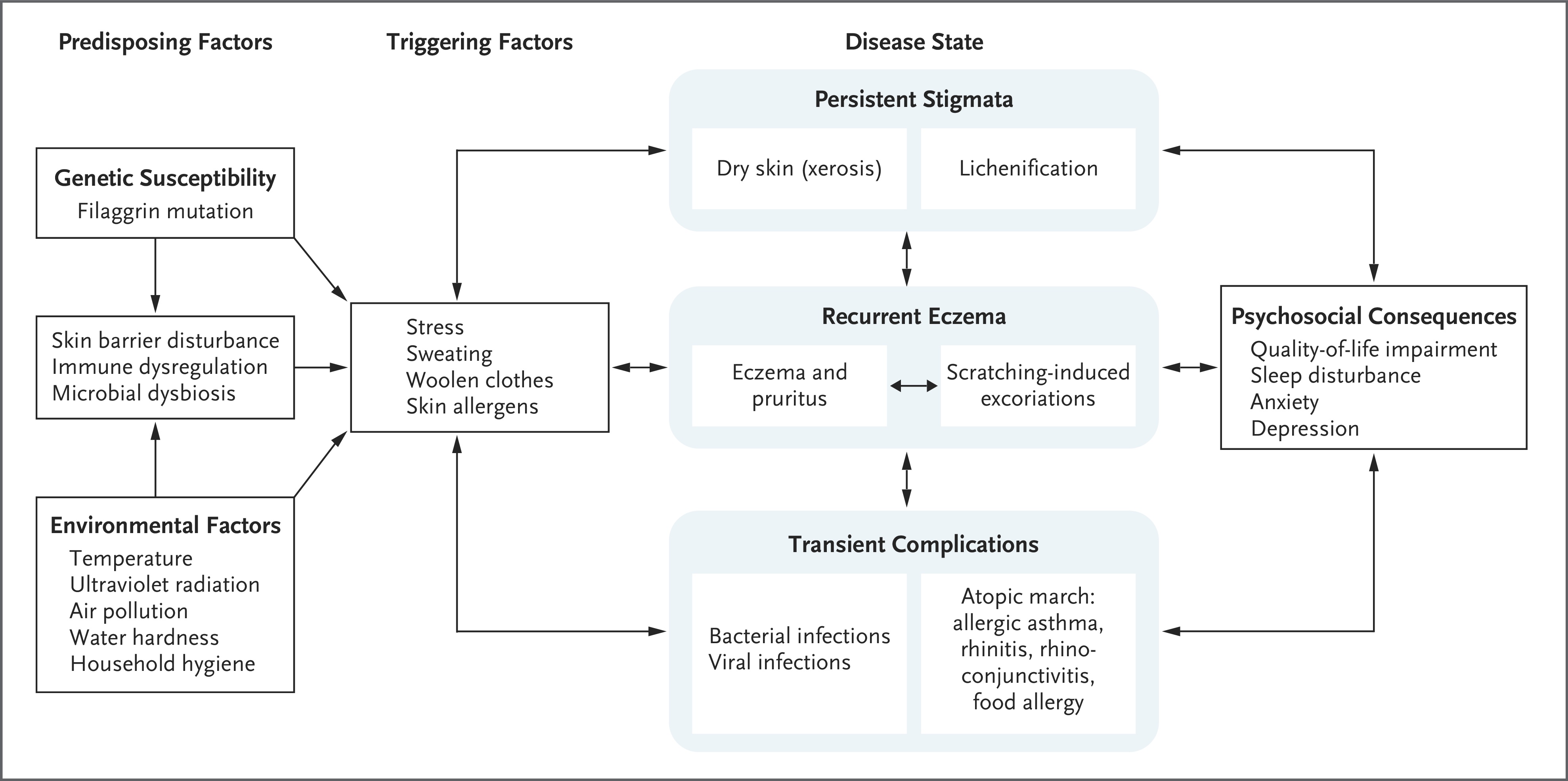 Known issues that cause eczema